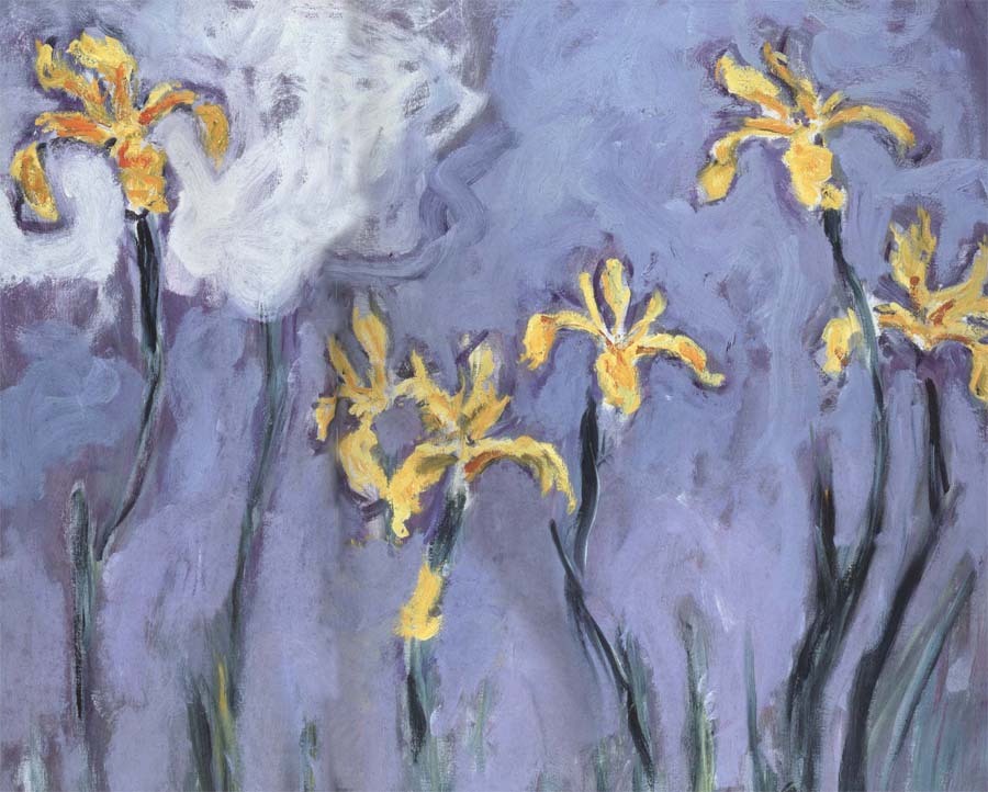 Yellow Irises with Pink Cloud